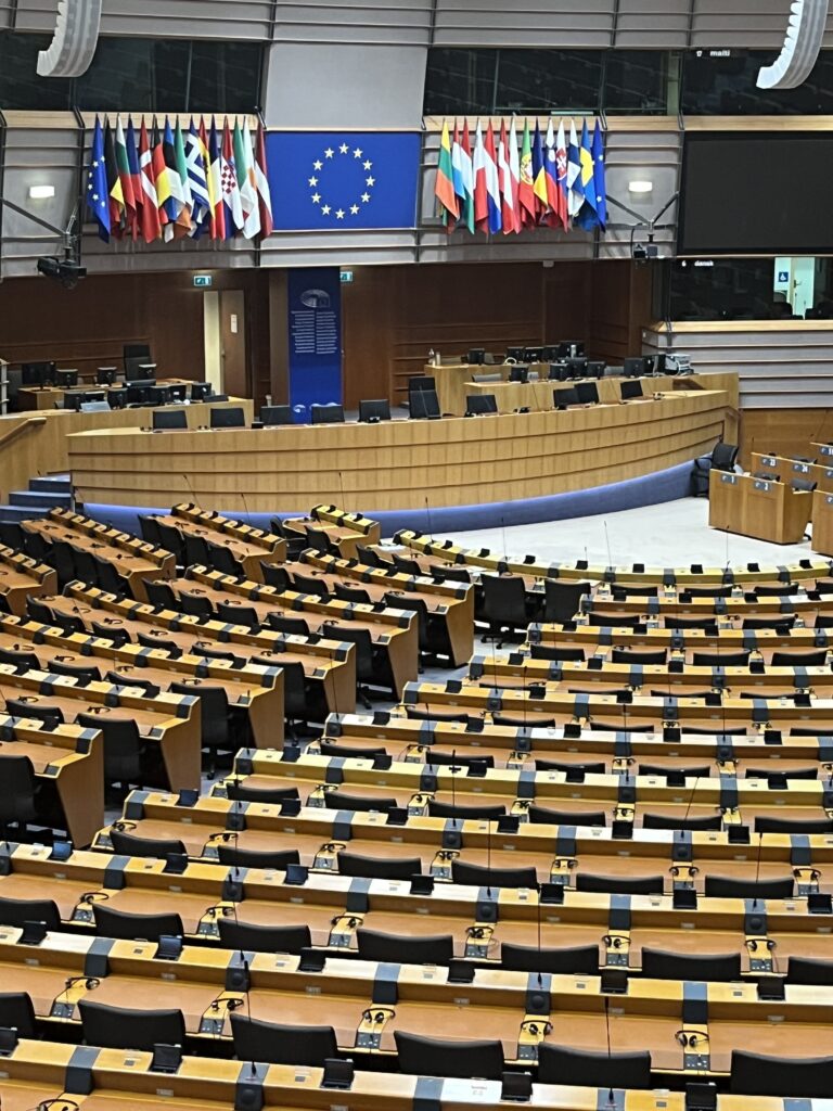 Europaparlamentet med mange flag